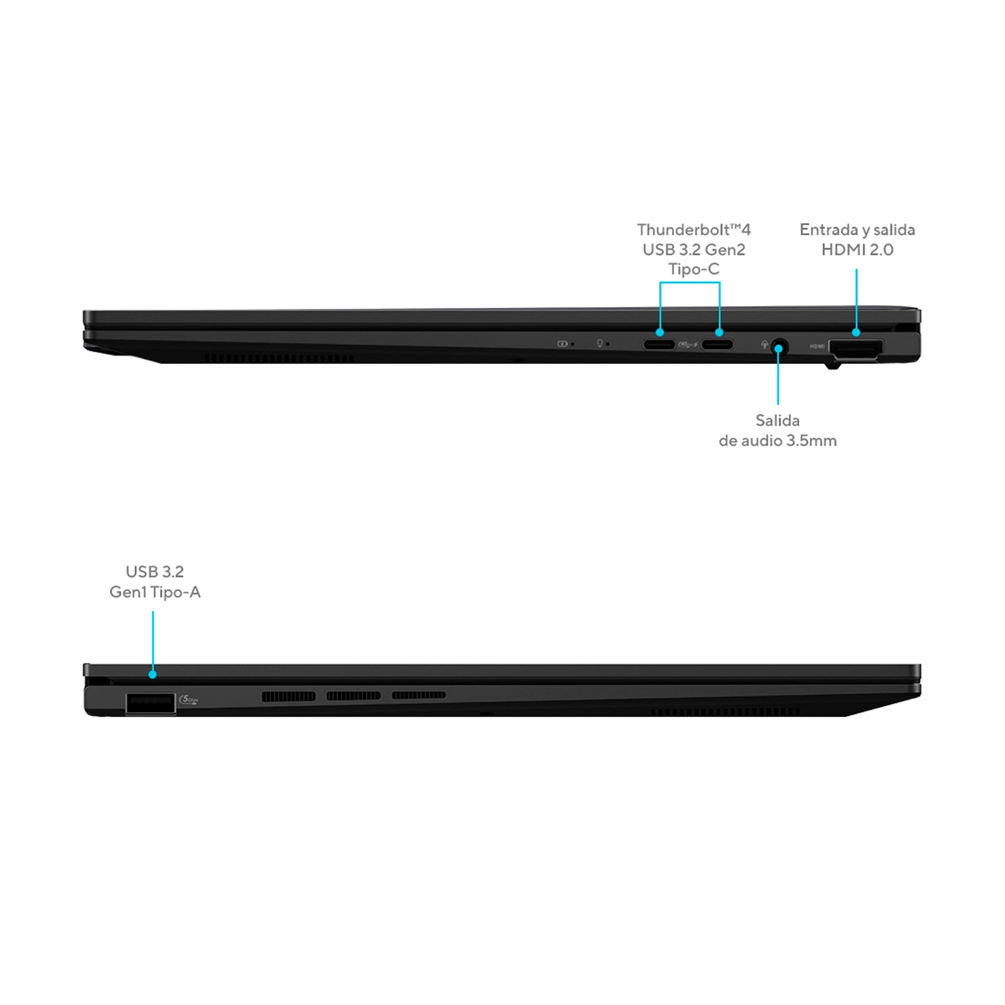 Portatil Asus Zenbook 14 Ryzen AI 7 350 16GB 1TB WUXGA 14