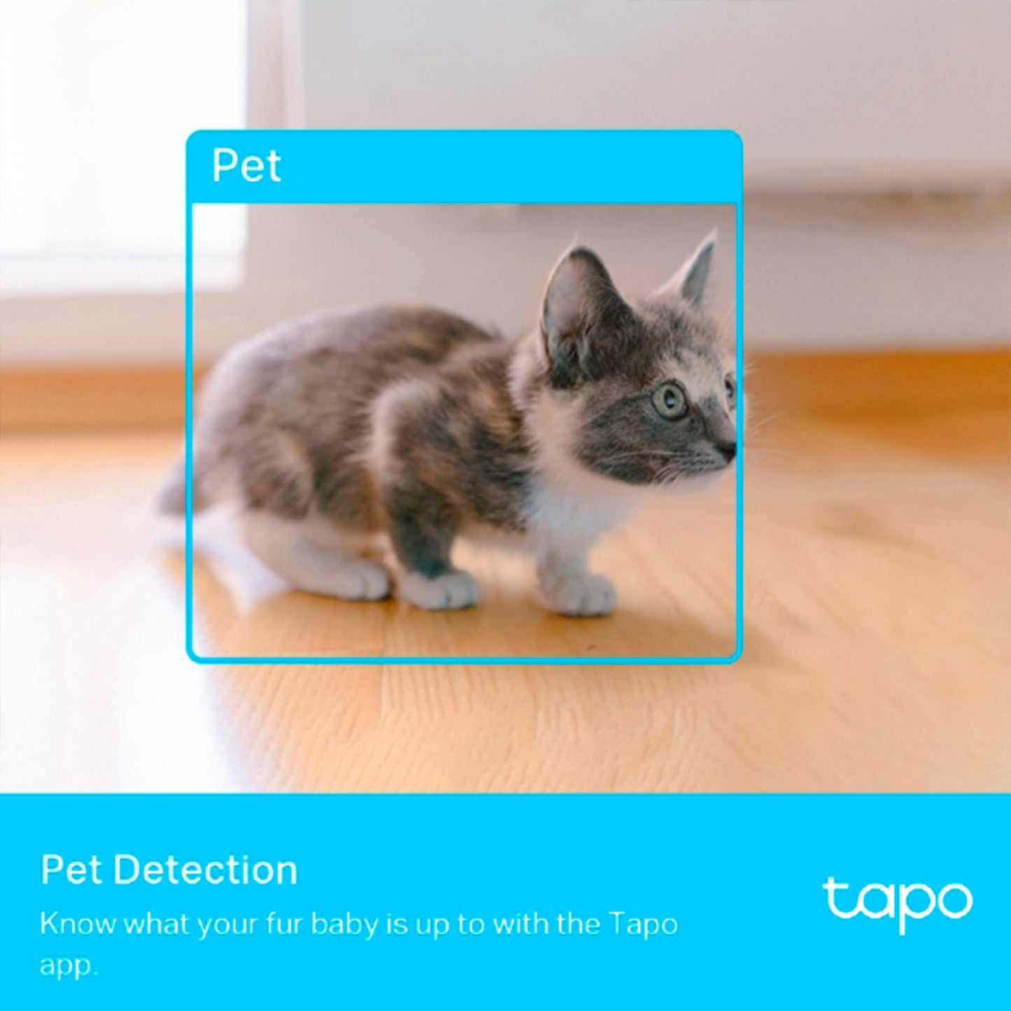Tapo C225 Camara De Seguridad Visión Nocturna TP-Link +128GB
