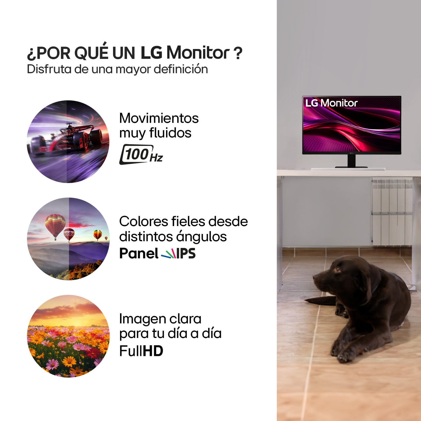 Monitor LG 27MR400-B 27 Ips Full HD 100hz sin bordes