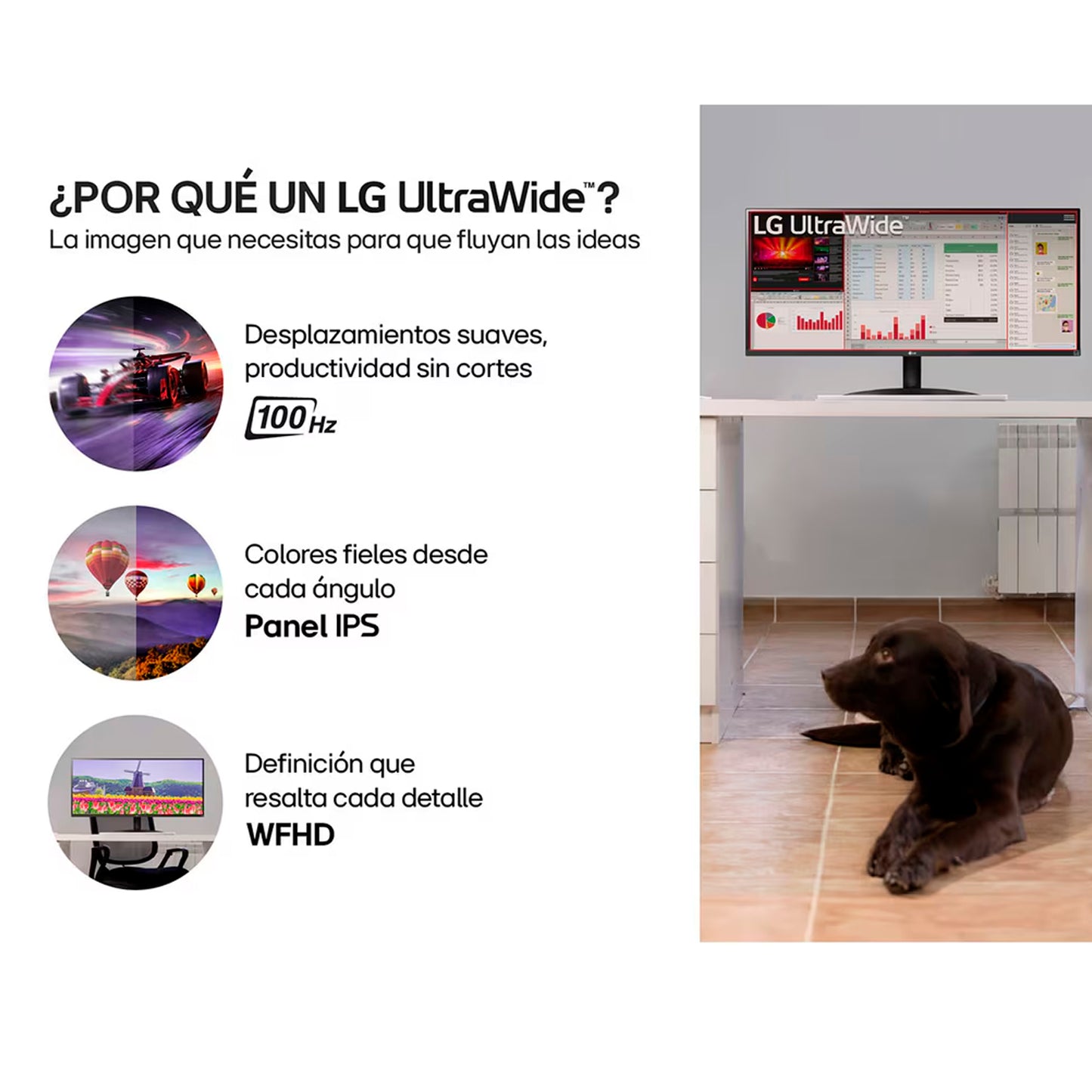 Monitor LG 29U511A UltraWide 29 WFHD IPS 100HZ