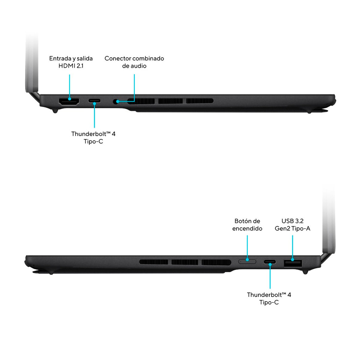 Portatil Asus Zenbook Duo UX8407AA Intel Core Ultra X7 358H 32GB 1TB 14" 3K Oled Touch