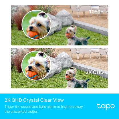 Cámara Tapo C420s1 Vigilancia Inalámbrica Tp-Link + 128GB