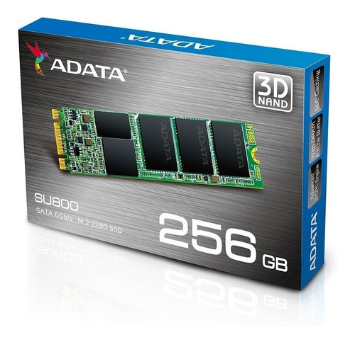 Disco De Estado Solido Ssd 256gb M2 Adata Su800 3d