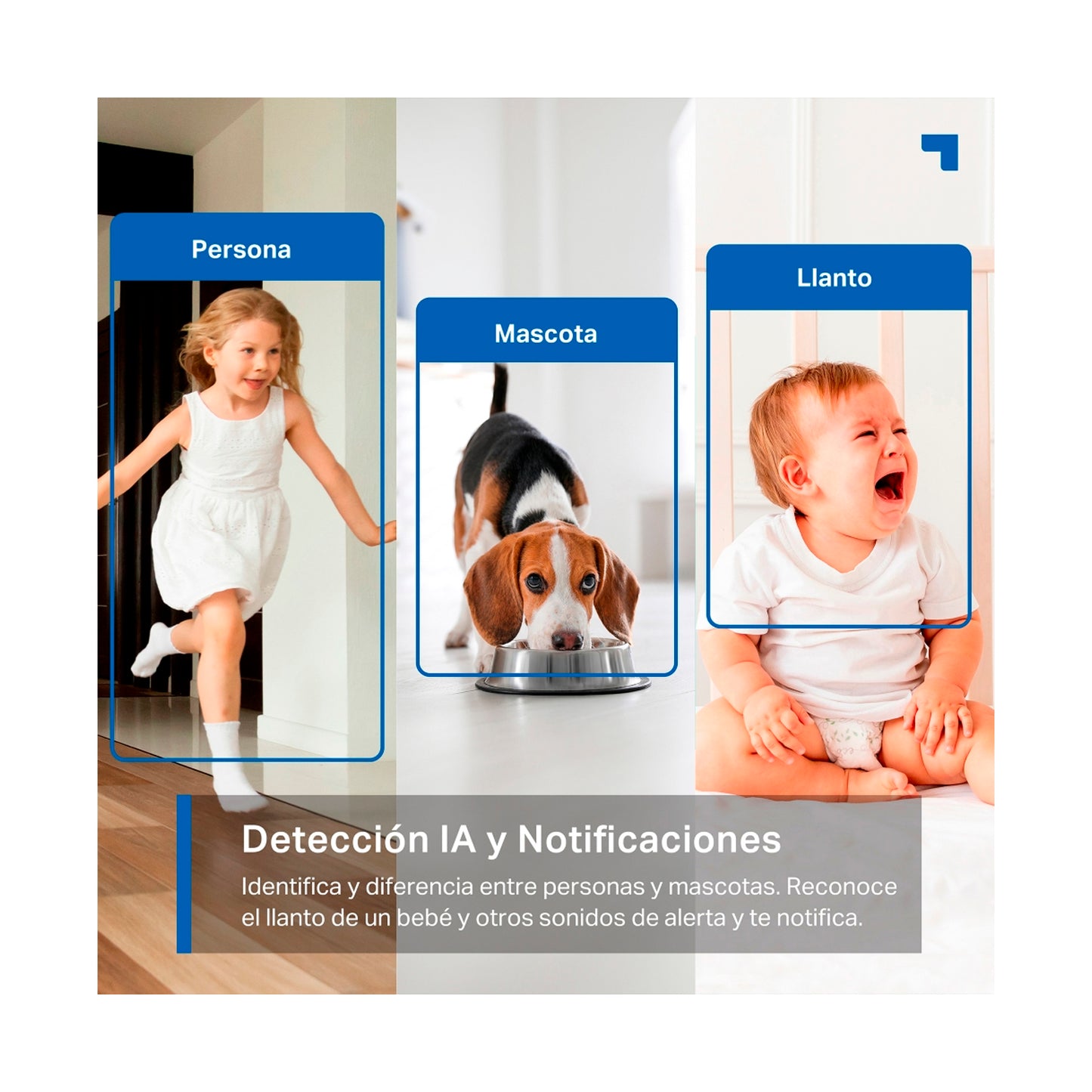 Cámara De Seguridad Tp-link TC74 Wifi 360° 3K 5MP