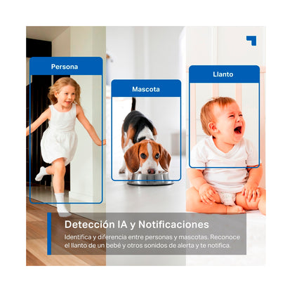 Cámara De Seguridad Tp-link Tapo C220 Wifi 360° 2K 4MP